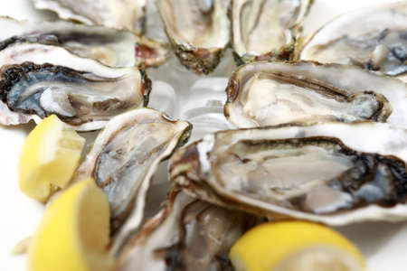 View of crimean oysters on plate with ice in restaurantの写真素材
