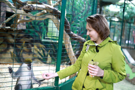 Woman feeding monkey with cabbage in zoo