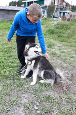 Child with husky dog in summer, Kareliaの写真素材