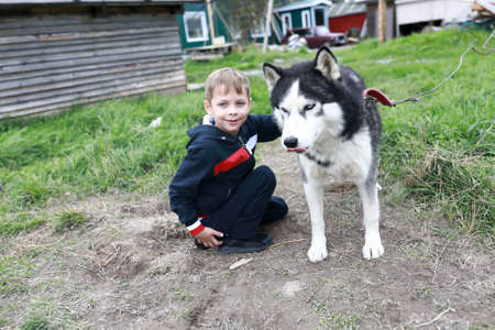 Boy with husky dog in summer, Kareliaの写真素材