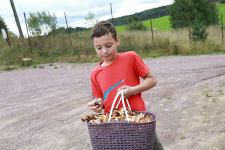 Kid with basket of honey mushrooms, Kareliaの写真素材