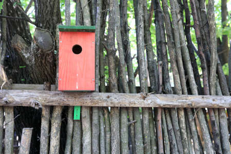 Details of wooden nesting box on fence in parkの写真素材