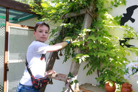 Child posing on ladder in the backyardの写真素材