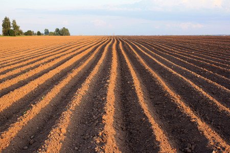 flat strip of plowed land stretching to the horizonの写真素材