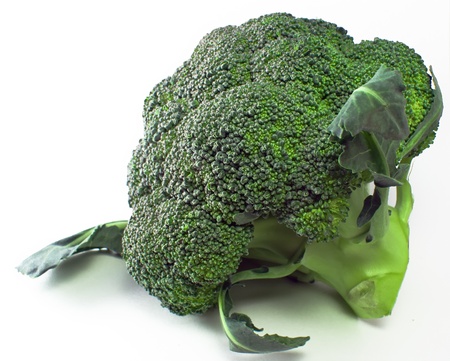 Broccoli floret の写真素材