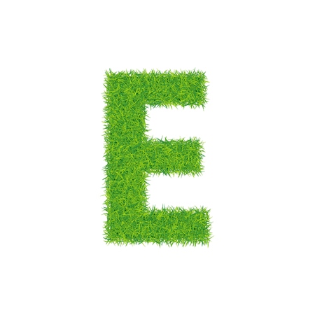 Green grass letter e on white background.のイラスト素材