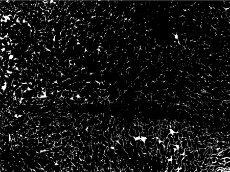 Grunge vector texture template with cracks. Overlay distress background.のイラスト素材