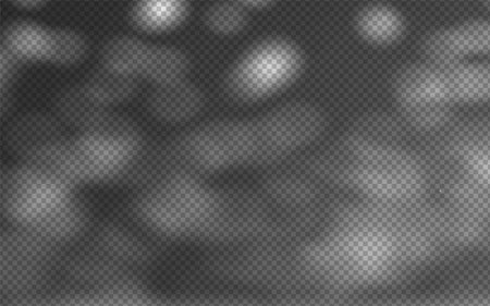 Abstract shadow overlay from foliage on a transparent background.のイラスト素材