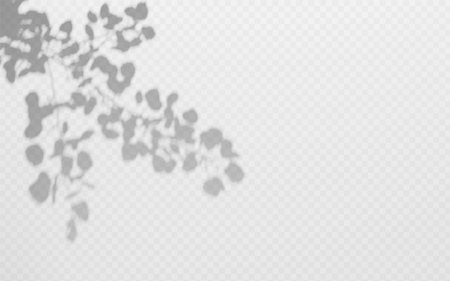 Diagonal Shadow overlay twig on transparent backgroundのイラスト素材