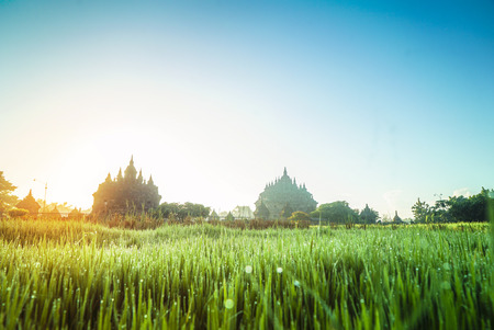 Plaosan Temple with paddy fieldのeditorial素材