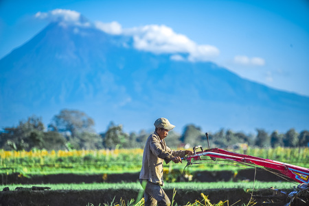 Farmers plowing the ground in the morning with beautiful Merapi mountain and blue skyのeditorial素材