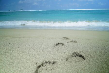 View of nice empty sandy beachの写真素材