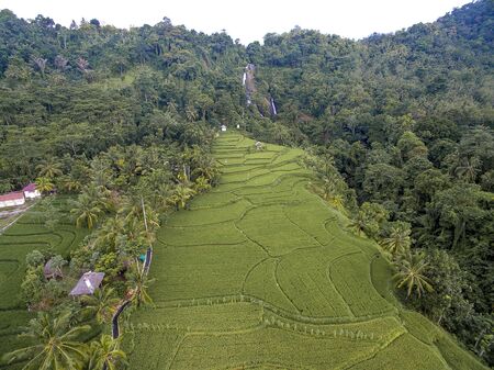 Gangga Waterfall Bird's Eye View with panorama Paddy Field in Lombok Indonesia