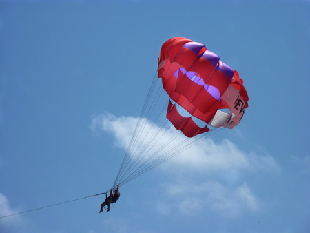 flying in the windの写真素材