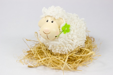 Easter lambの写真素材