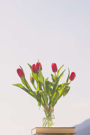 bunch of tulips in a glass vase against blue sky, colorful spring flowers on blurred background with free copy space, springtime conceptの写真素材