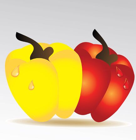 rad and yellow paprika isolatedのイラスト素材