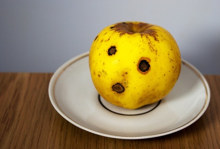 bright yellow apple on white plate closeupの写真素材