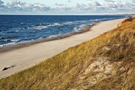 sandy seashore with cloudy sky on sunny summer dayの写真素材