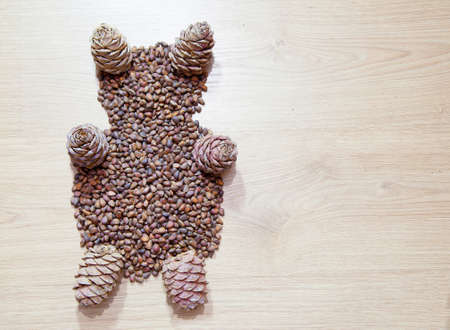 bear from cedar cones on wooden floor