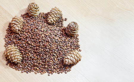 cedar nuts and cones om wooden floor