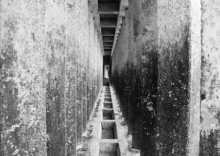 corridor of concrete pillars with perspective depthの写真素材