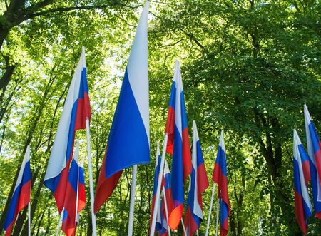 many russian flags in the city park closeup outsideの写真素材