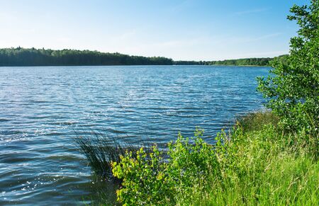 lake landscape on sunny summer day