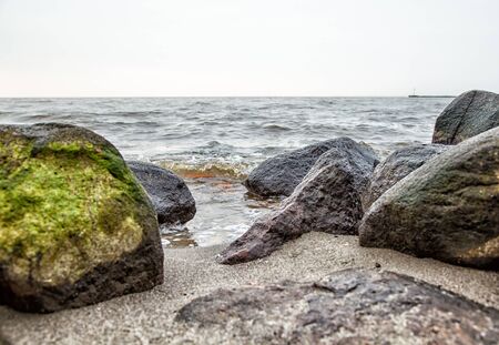 shore of the lake on cold gloomy late autumn dayの写真素材