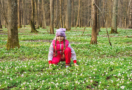beautiful little girl with wild white flowers in forest on sunny spring day closeupの写真素材