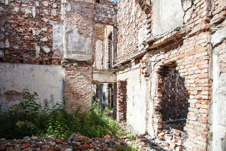 abandoned brick house from the inside on summer dayの写真素材