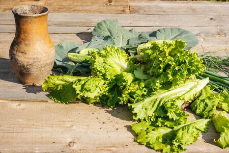 different vegetables with brown jug on rustic wooden table on summer day closeupの写真素材