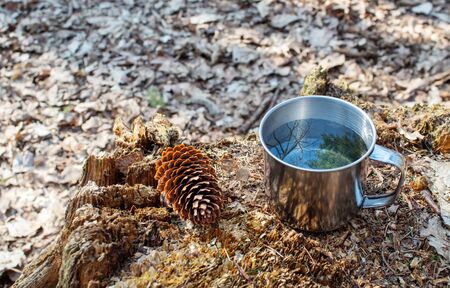 metal cup of water standing on a stump in the forest on sunny day. blue sky and the tree are reflected in the waterの写真素材