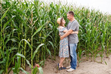 pair of lovers canoodle in the corn field on sunny summer dayの写真素材