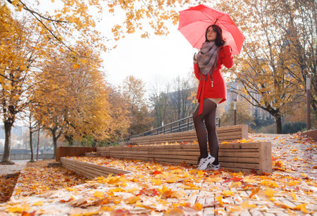 young girl in a red coat with an umbrella standing on the alley of a city park on a sunny autumn dayの写真素材