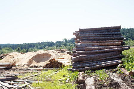 logs prepared for sawing at sawmill outdoor in summerの写真素材