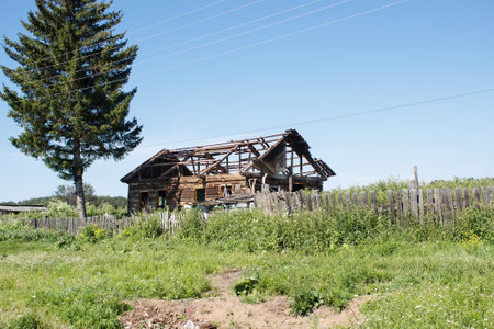 old abandoned wooden house in siberia on sunny summer dayの写真素材