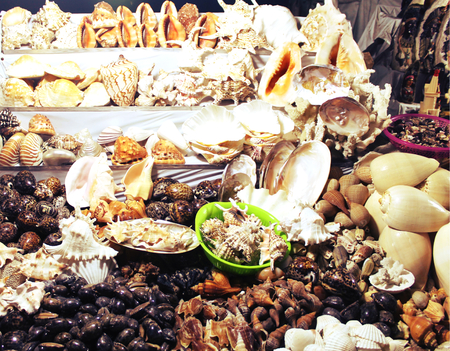 Carnivalの写真素材