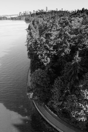 Stanley Park from Lions Gate Bridgeの写真素材