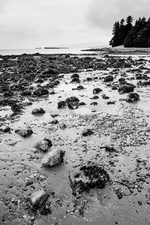 Stones at Second Beachの写真素材