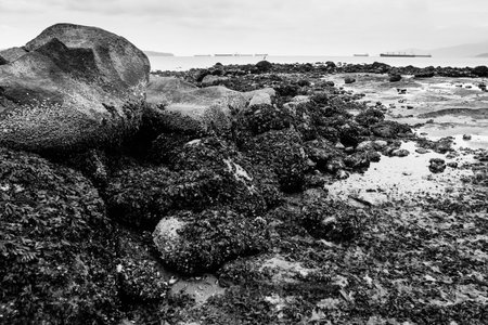 Stones at Second Beachの写真素材