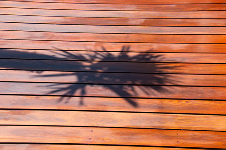 Shadow of palm tree leaves silhouette on ipe wood deckingの写真素材