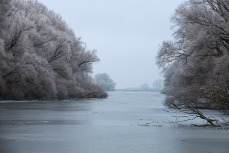 Winter nature beauty, ice frozen lake landscape with frosty woods and trees around