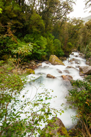 Lake Marian Falls Track, Waterfall in Fiordland New Zealand with native rainforest floraの写真素材