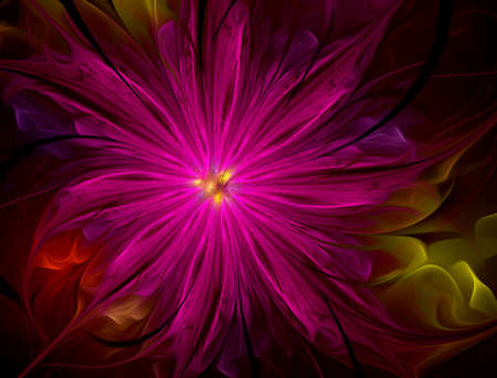 lovely flower の写真素材