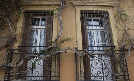 two windows in spring