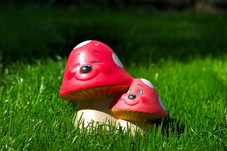 Happy mushroomsの写真素材