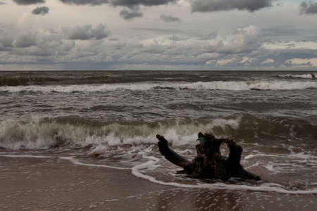 Baltic Seaの写真素材