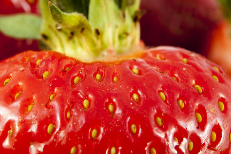 fresh strawberriesの写真素材