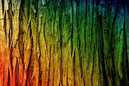 colorful background, shoulderの写真素材